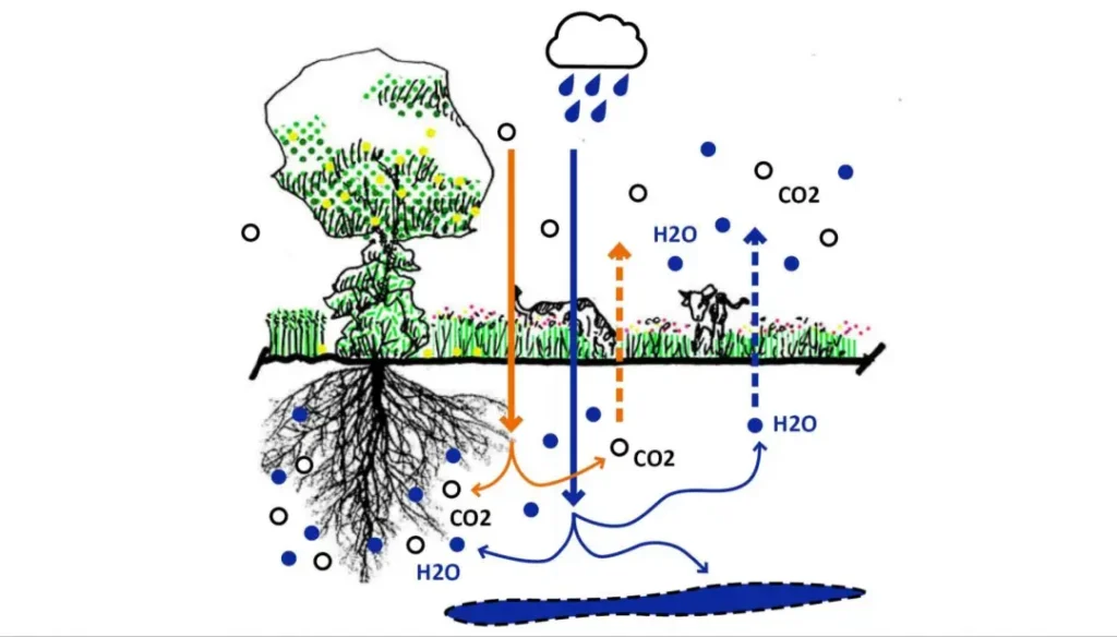 agriculture regenerative