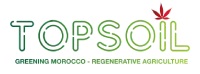 TOPSOIL – Regenerative Cannabis & Agriculture in Morocco