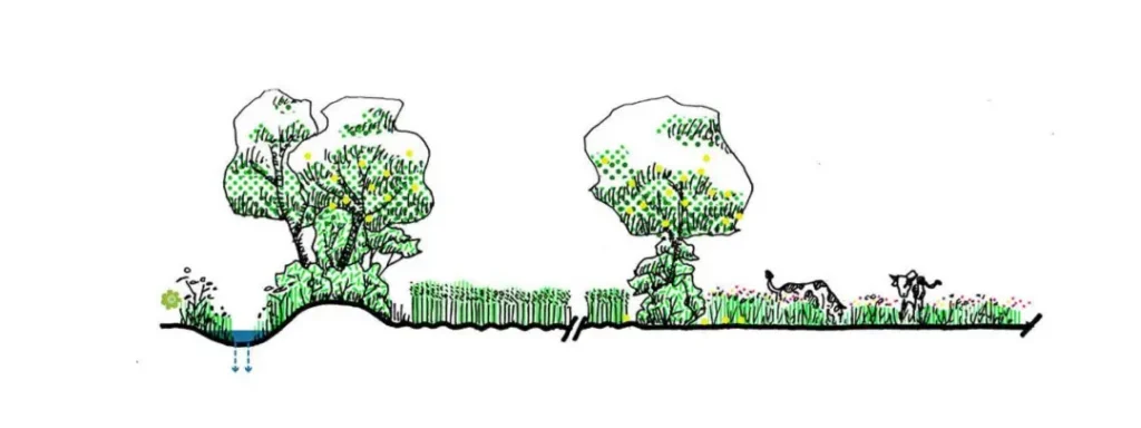 ecosystem restoration.